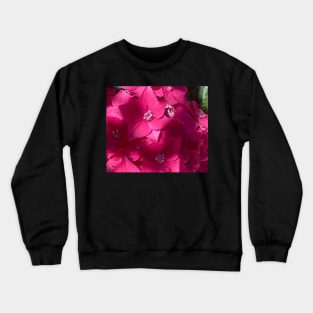 Perfect Pink Hydrangea in the Shadows. Crewneck Sweatshirt
